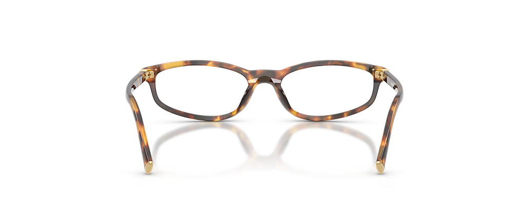 Miu Miu MU 01ZV Honey Havana Frames