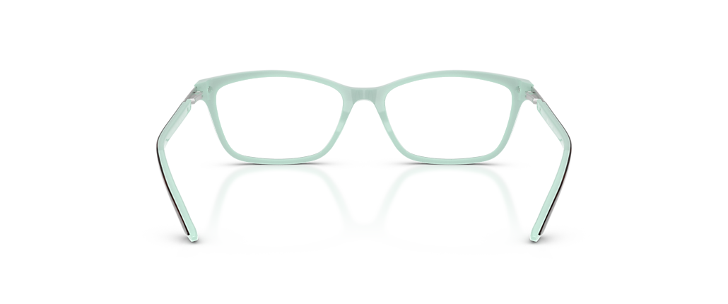 Ralph RA7044 Havana Frames