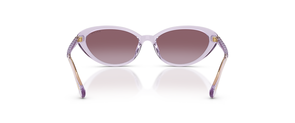 Ralph RA5338U Transparent Violet Sunglasses