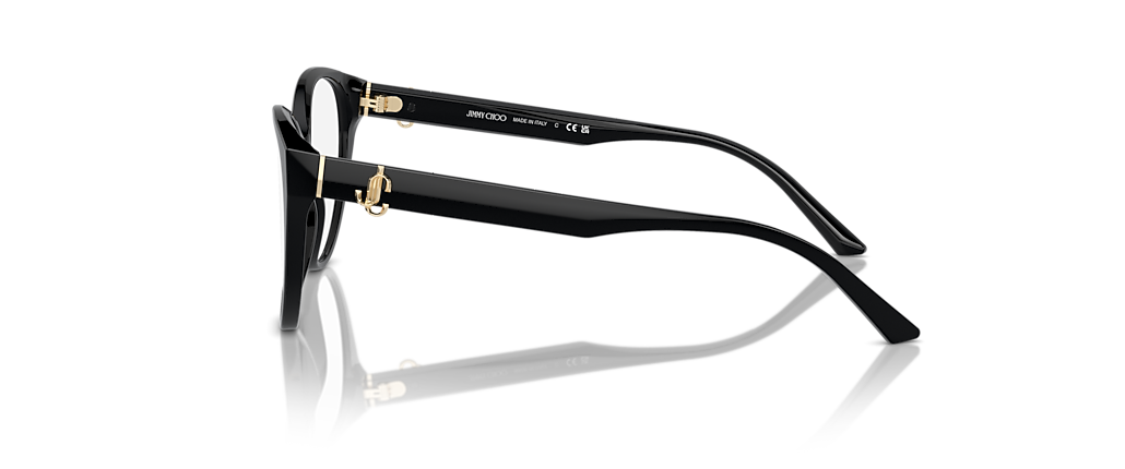 Jimmy Choo JC3009 Black Frames