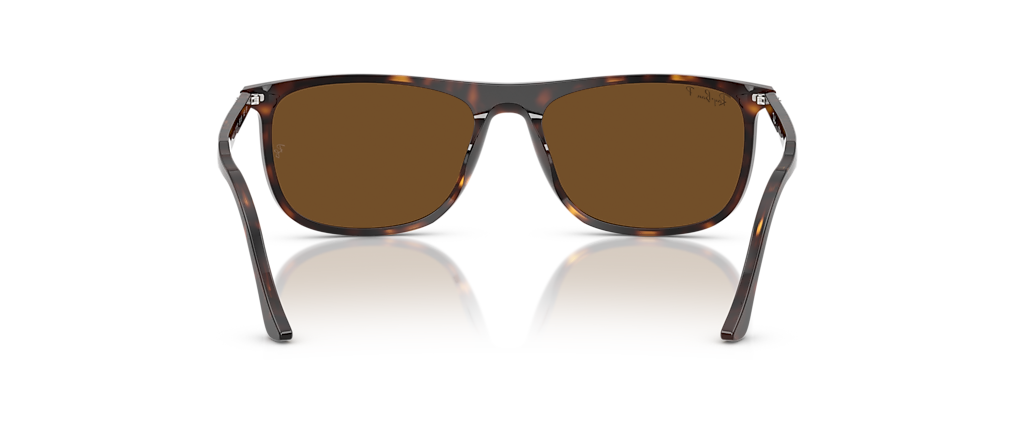 Ray-Ban RB2216F Havana Sunglasses
