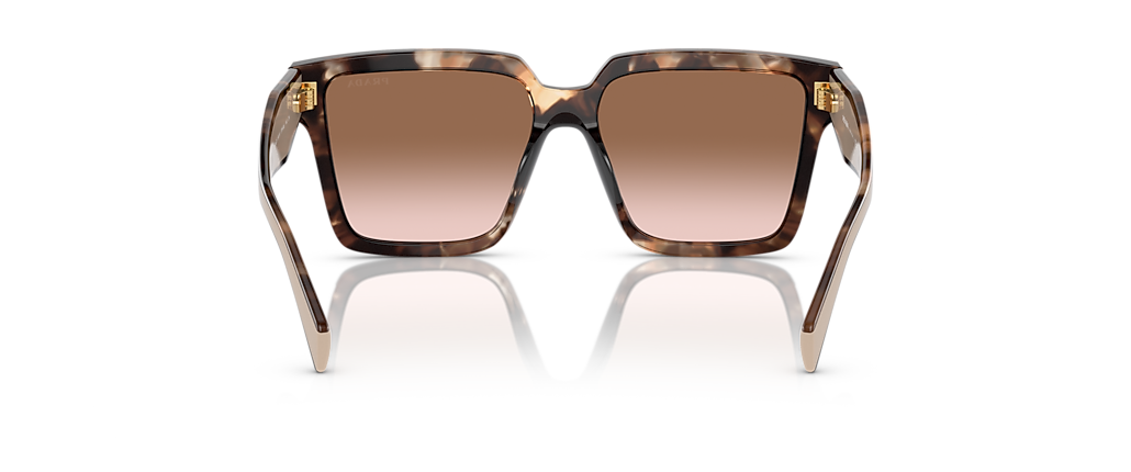 Prada PR 24ZSF Caramel Tortoise Sunglasses