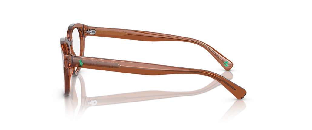 Polo Ralph Lauren PH2262 Shiny Transparent Brown Frames