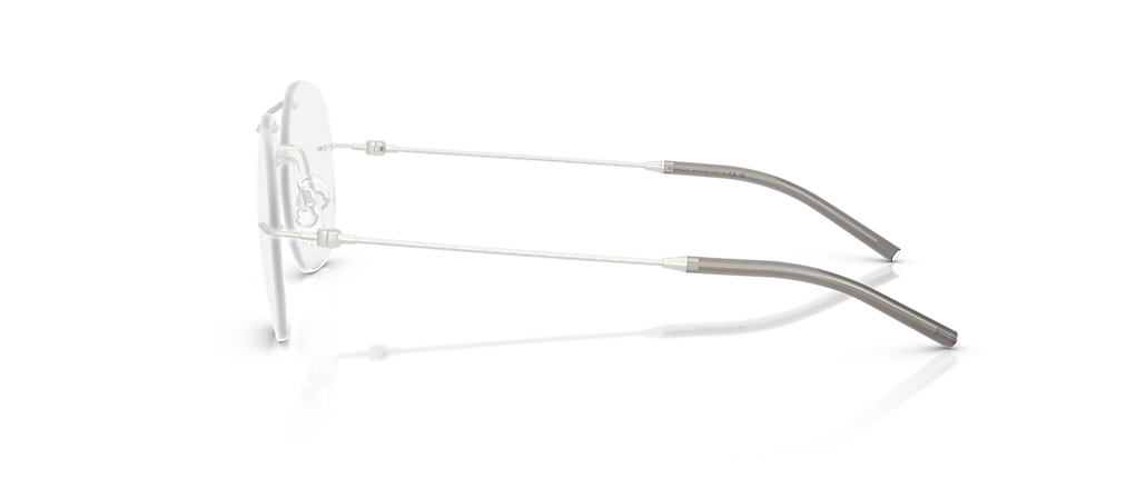 Moncler ME1003 Matte Silver Frames