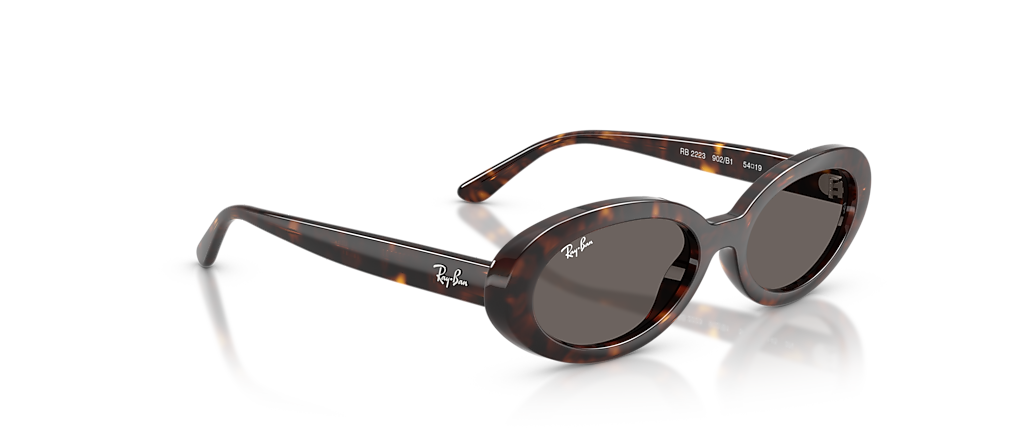 Ray-Ban RB2223F Havana Sunglasses