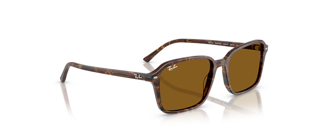 Ray-Ban RB2231 Raimond Transparent Fantasy Brown Sunglasses