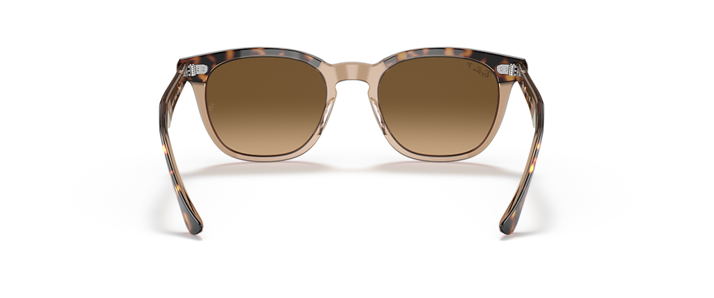 Ray-Ban RB2298 Hawkeye Havana On Transparent Brown Sunglasses
