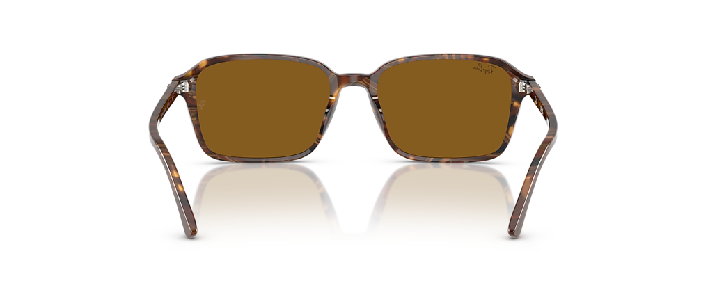 Ray-Ban RB2231 Raimond Transparent Fantasy Brown Sunglasses
