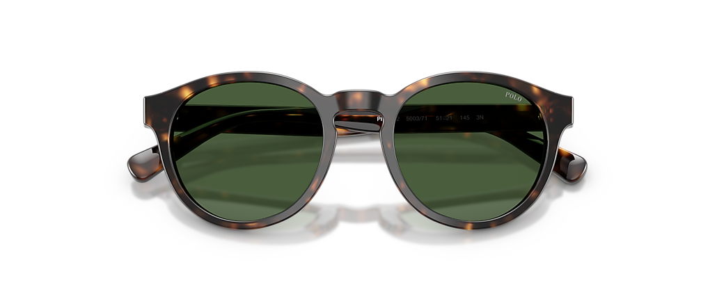 Polo Ralph Lauren PH4192 Shiny Dark Havana Sunglasses