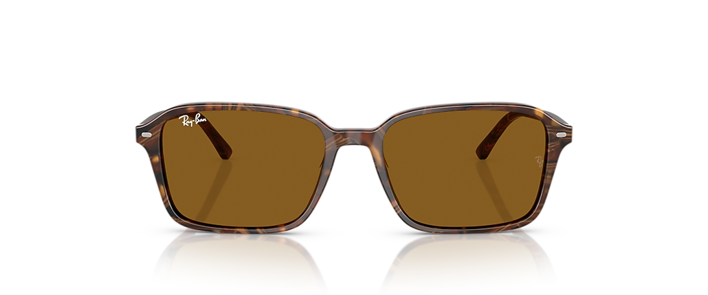Ray-Ban RB2231 Raimond Transparent Fantasy Brown Sunglasses