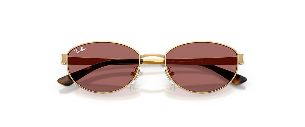 Ray-Ban RB3774D Arista Sunglasses