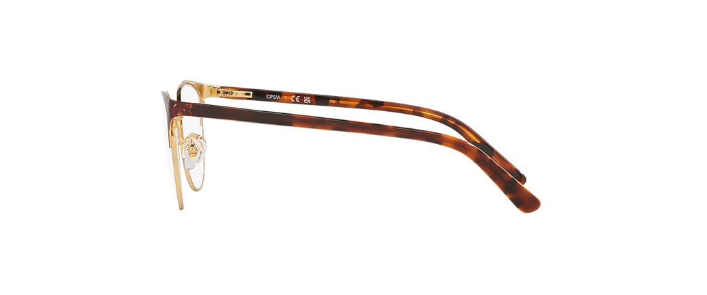 OPSM OP1006 Gold On Havana Frames