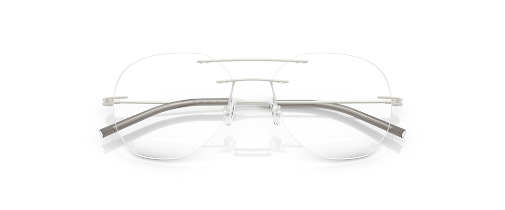 Moncler ME1003 Matte Silver Frames