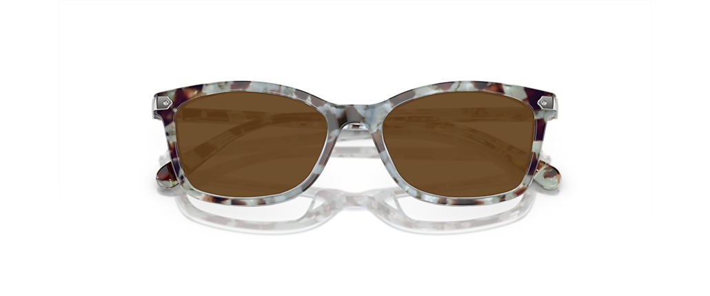 Coach HC6219U Seaglass Tortoise Frames