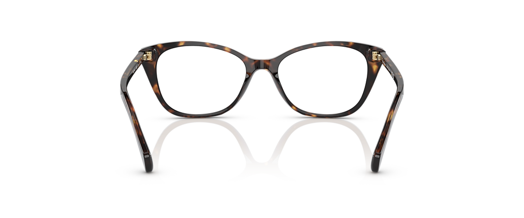 Ralph RA7146 Shiny Havana Frames