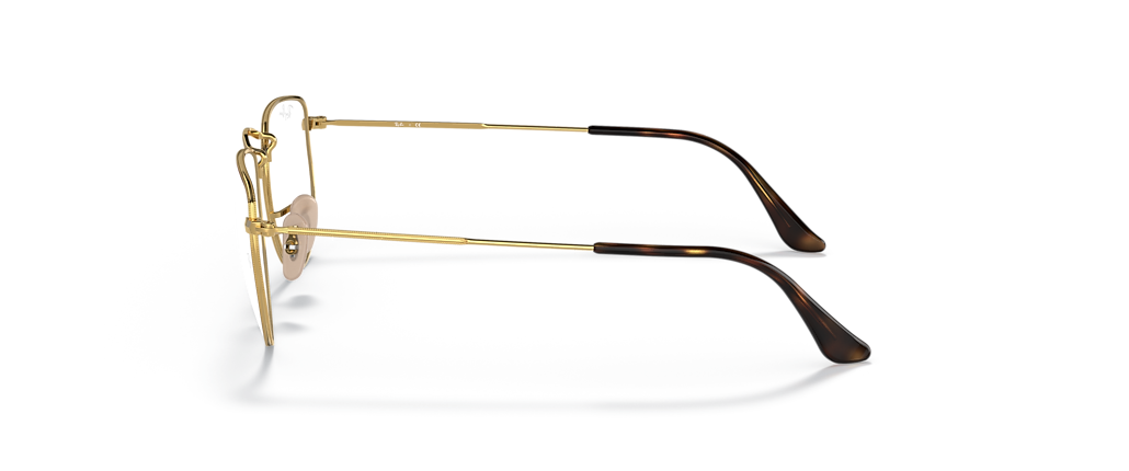 Ray-Ban RB3958V Elon Optics Limited Edition Havana on Gold Frames