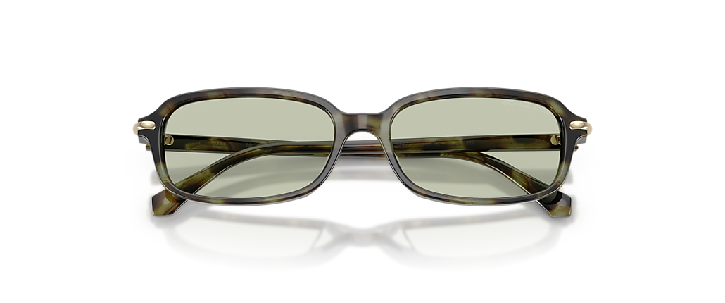 Michael Kors MK2288U Agra Sage Tortoise Sunglasses