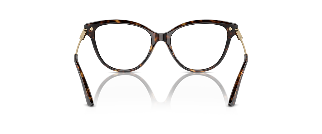 Jimmy Choo JC3001B Havana Frames