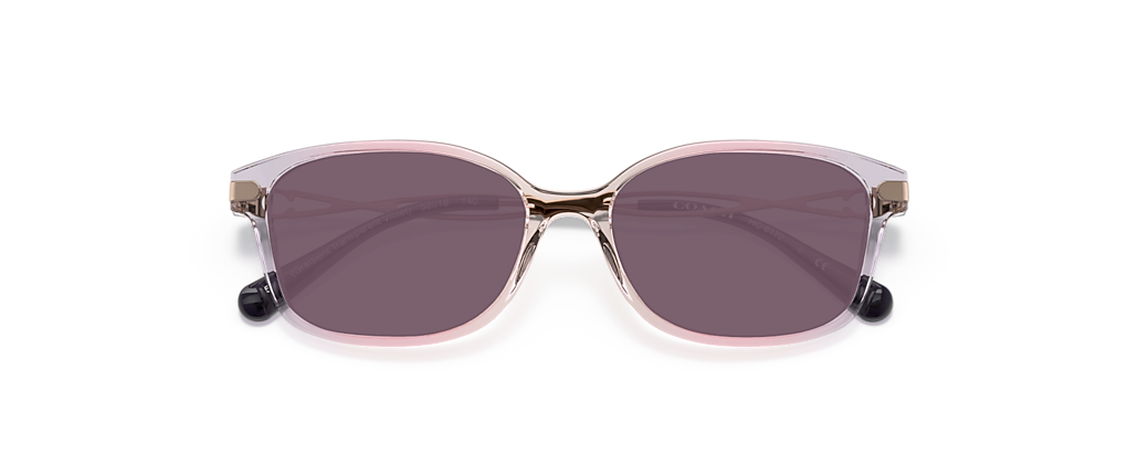 Coach HC6172 Gradient Transparent Violet Frames