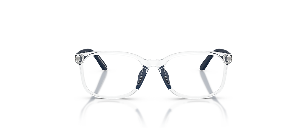 Emporio Armani EK3008U Shiny Crystal Frames