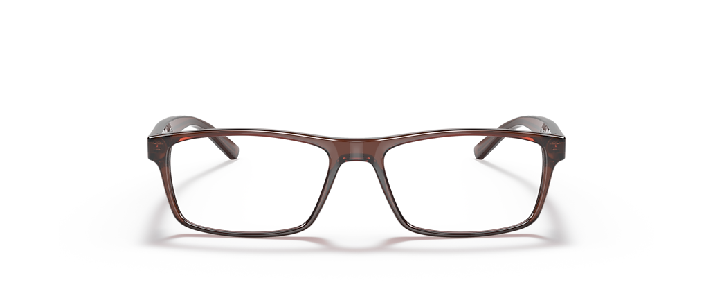 Sferoflex SF1149 Brown Frames