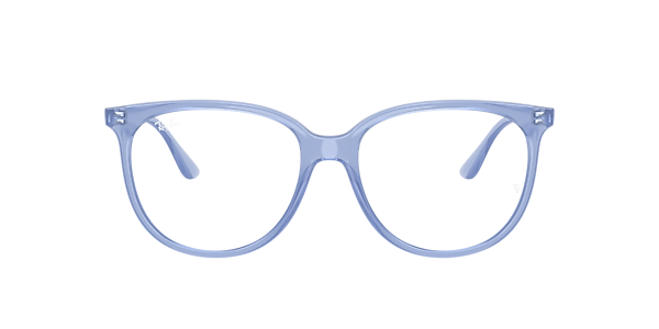 Ray-Ban RB4378V Optics