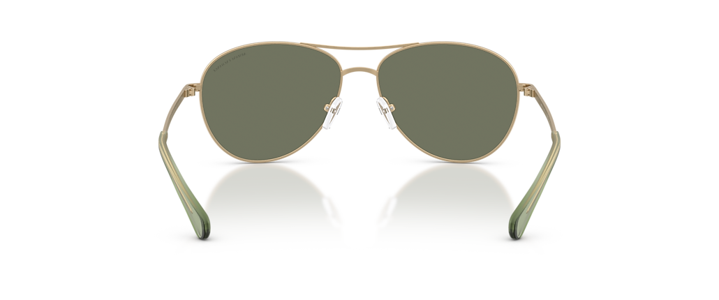 Armani Exchange AX2061S Matte Pale Gold Sunglasses