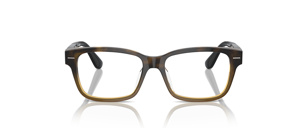 Brunello Cucinelli BC3003 Havana Tortoise Frames