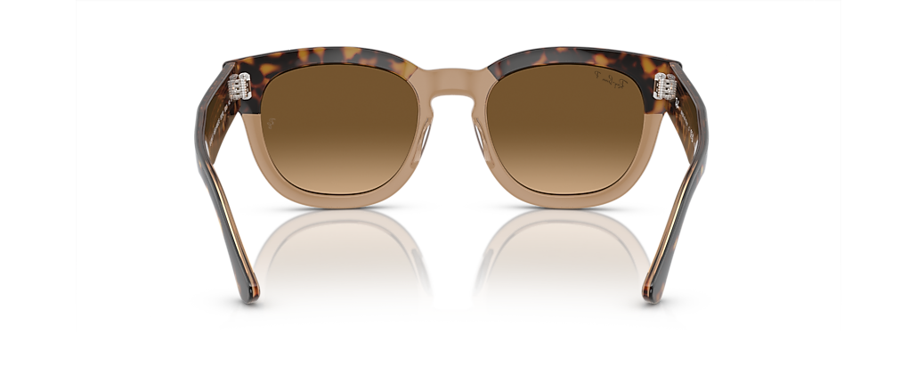 Ray-Ban RB0298SF Mega Hawkeye Havana On Transparent Brown Sunglasses