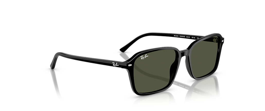 Ray-Ban RB2231 Raimond Black Sunglasses