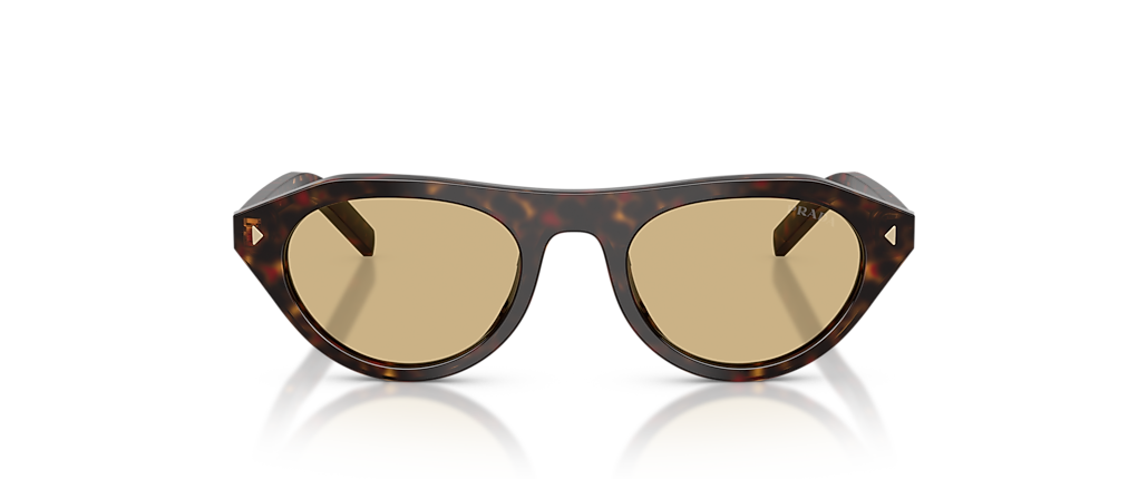 Prada PR B15SF Root Tortoise Sunglasses