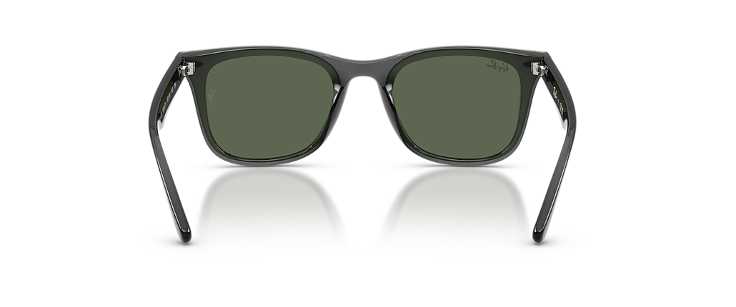 Ray-Ban RB4420 Transparent Grey Sunglasses