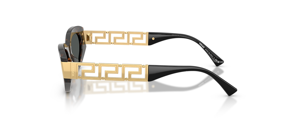 Versace VE4501 Brown Tortoise Sunglasses