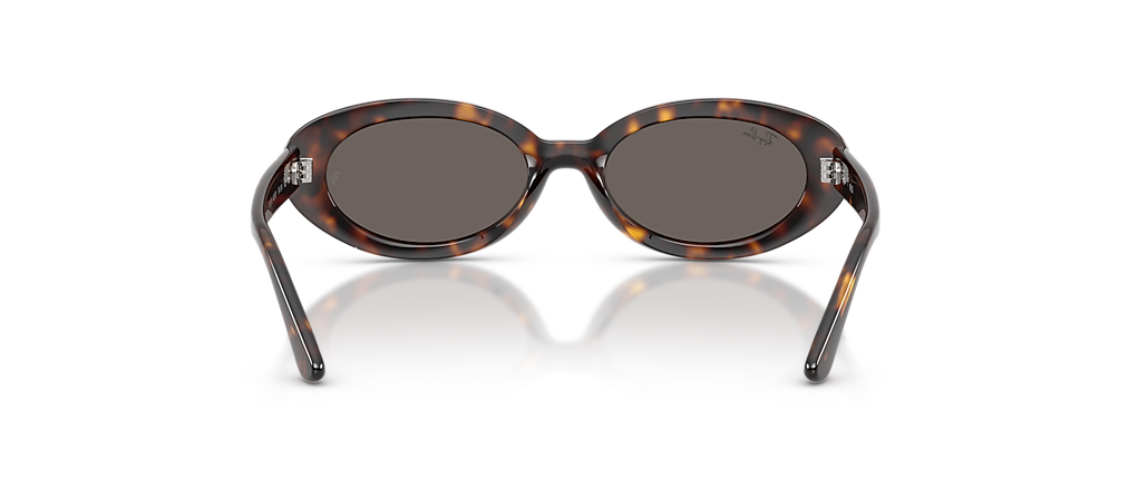 Ray-Ban RB2223F Havana Sunglasses