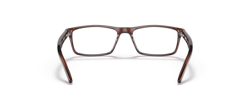 Sferoflex SF1149 Brown Frames