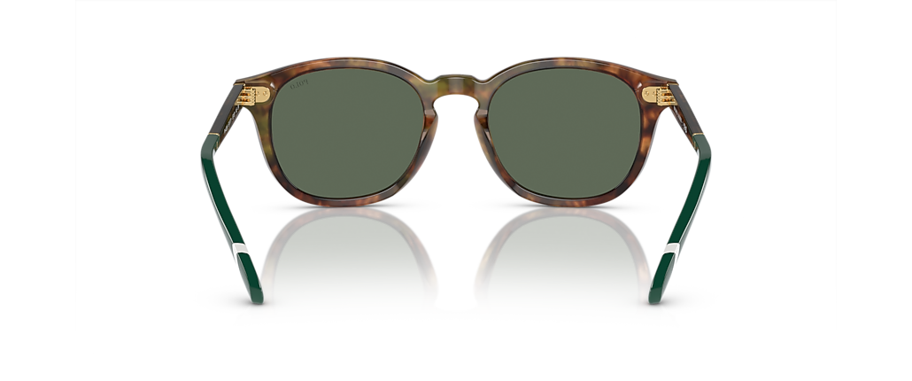 Polo Ralph Lauren PH4206 Shiny Brown Tortoise Sunglasses