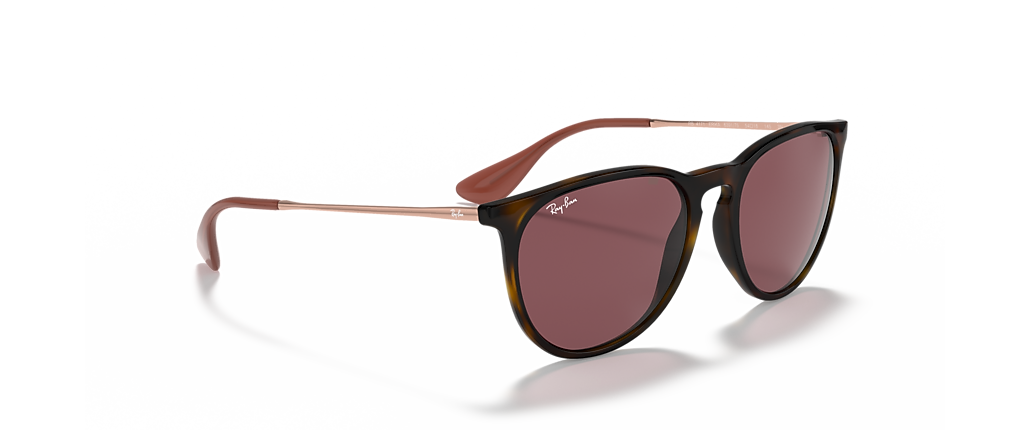 Ray-Ban RB4171 Erika Color Mix Havana Sunglasses