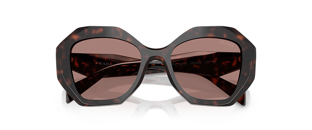 Prada PR 16WS Root Tortoise Sunglasses