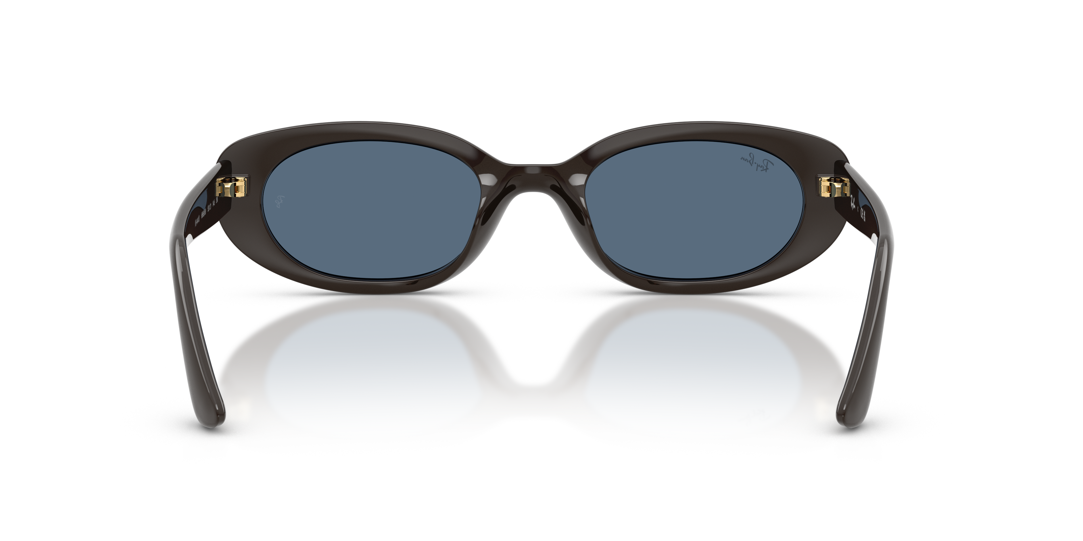 Ray-Ban RB4441D Year Of The Horse Edition Full Dark Brown Sunglasses