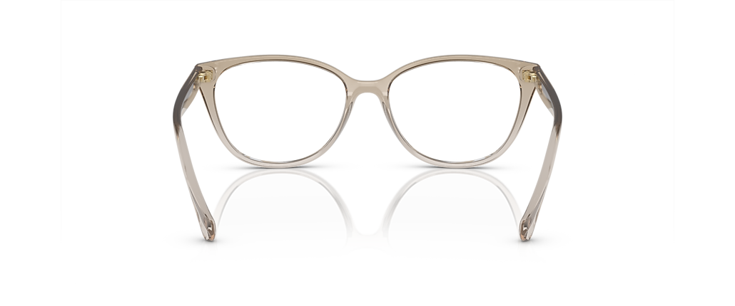 Ralph RA7135 Shiny Trasparent Brown Frames