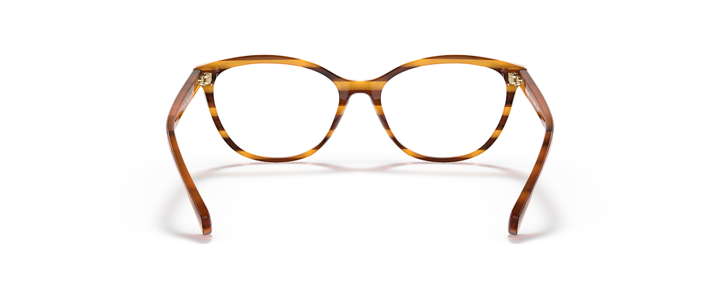 Ralph RA7134 Striped Brown Frames
