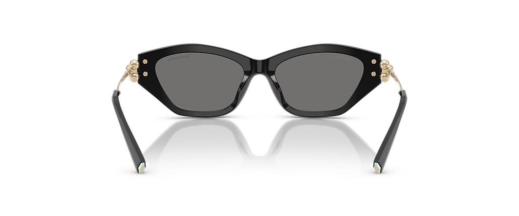 Tiffany & Co. TF4231U Black Sunglasses