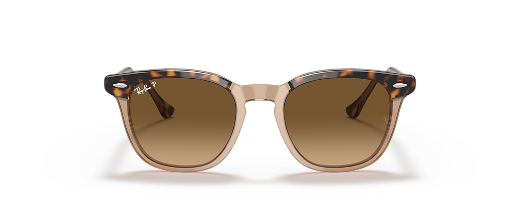 Ray-Ban RB2298 Hawkeye Havana On Transparent Brown Sunglasses