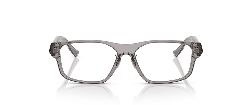 Ferrari FH4006D Transparent Grey Frames