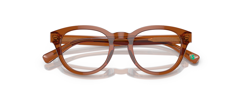 Polo Ralph Lauren PH2262 Shiny Transparent Brown Frames