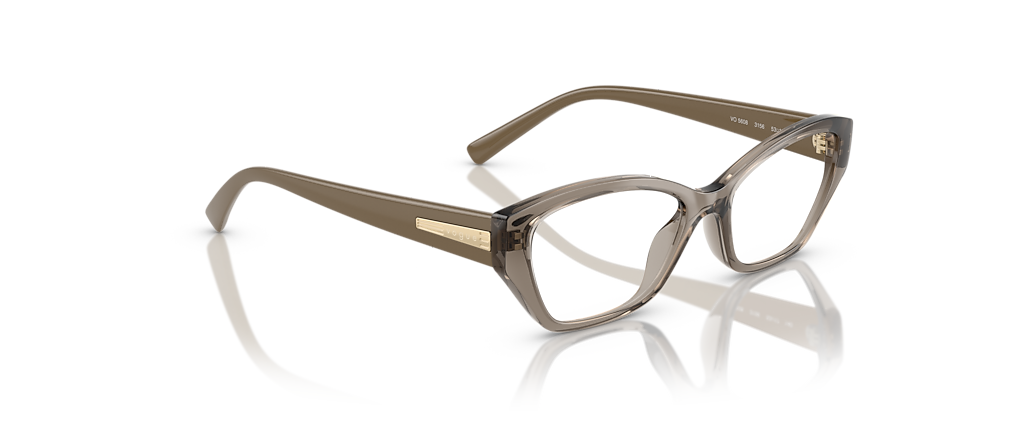 Vogue Eyewear VO5608 Transparent Brown Frames