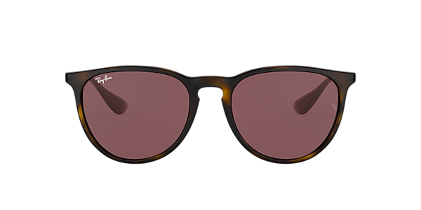 Ray-Ban RB4171 Erika Color Mix