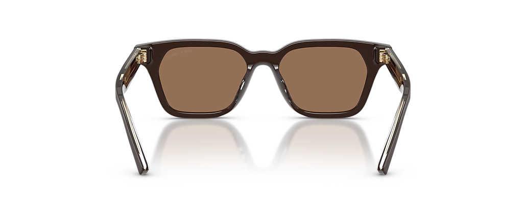 Giorgio Armani AR8251U Brushed Brown Sunglasses