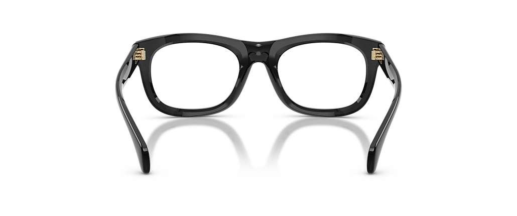 Moncler ME2040 Meteore Shiny Transparent Dark Grey Frames