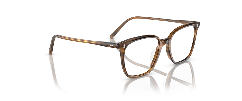 Oliver Peoples OV5488U Rasey Raintree Frames